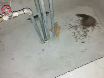 类乌齐卫生间测漏水价格明细