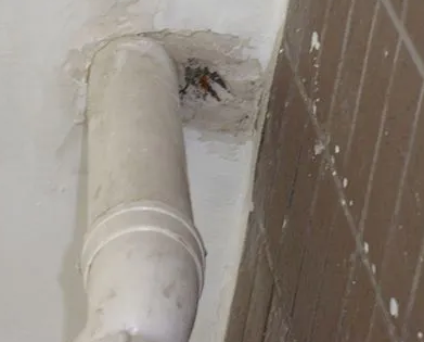 类乌齐漏水检测哪家好